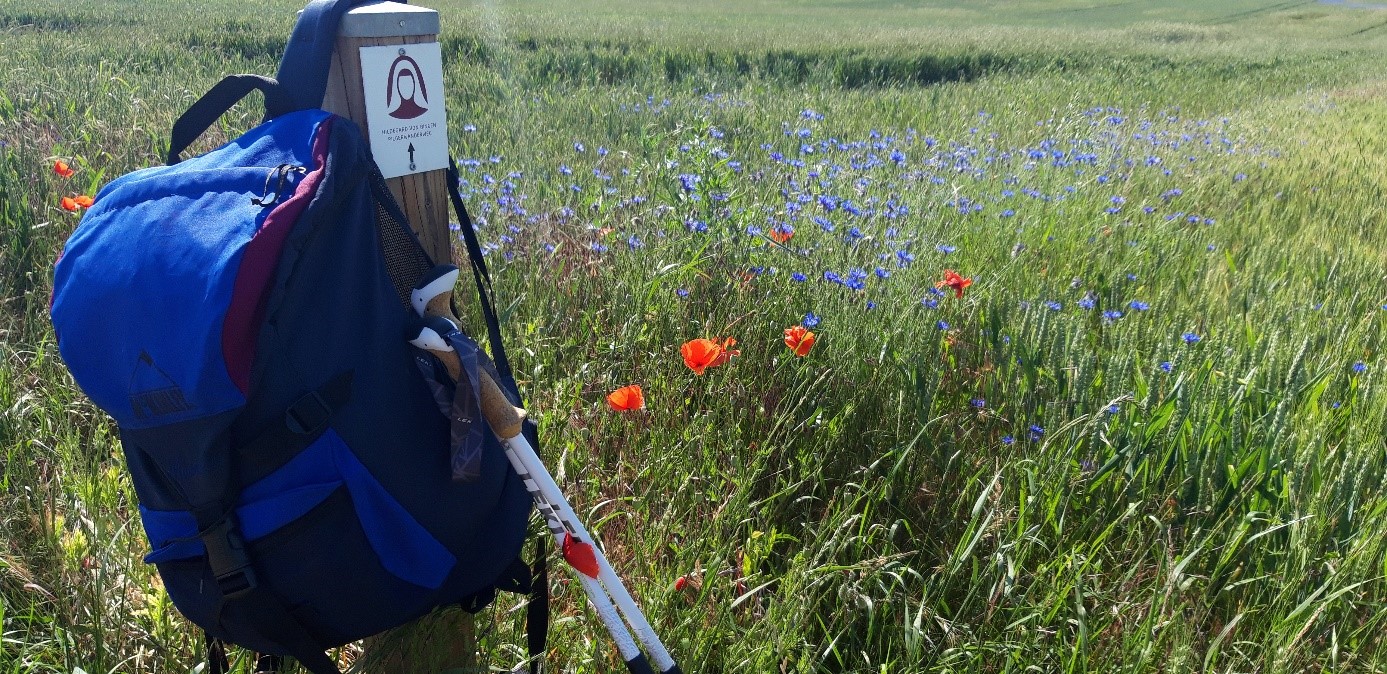 pilgernHildegardweg01 (c) Claudia Kuhn pilgernHildegardweg01