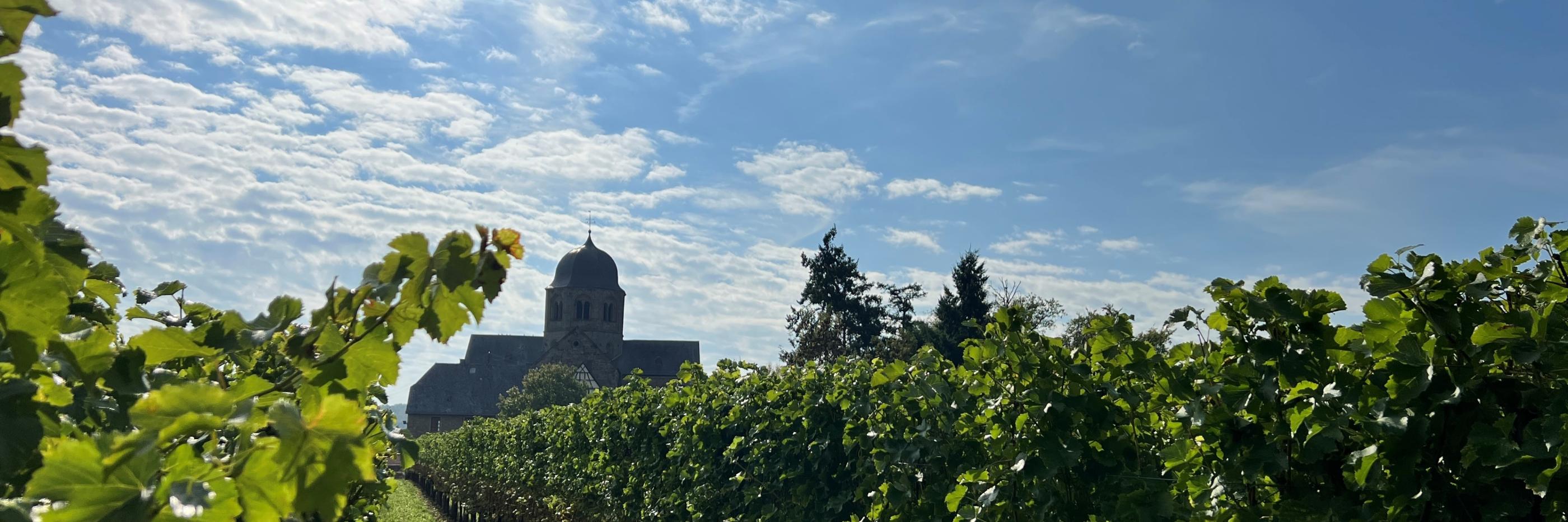 Sponheimer Kirche im Rebenmeer (c) Dim Hou / unsplash.com Sponheimer Kirche im Rebenmeer