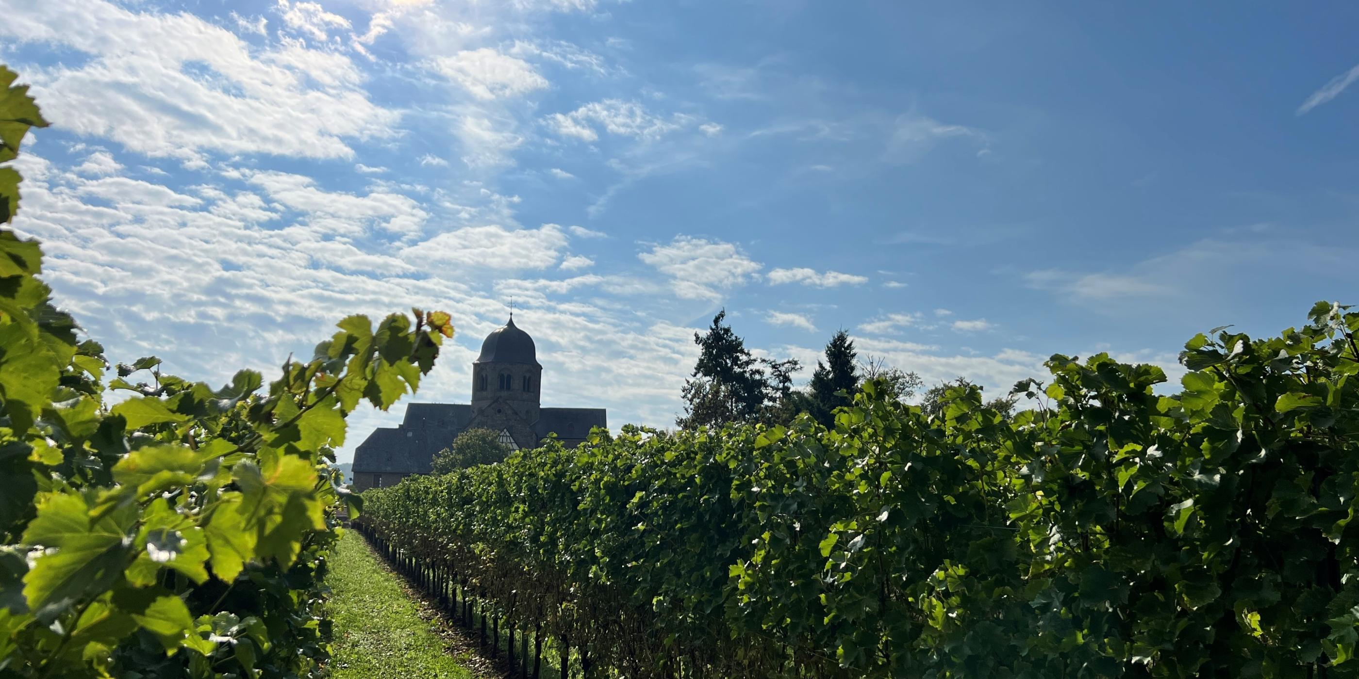 Sponheimer Kirche im Rebenmeer (c) Dim Hou / unsplash.com Sponheimer Kirche im Rebenmeer