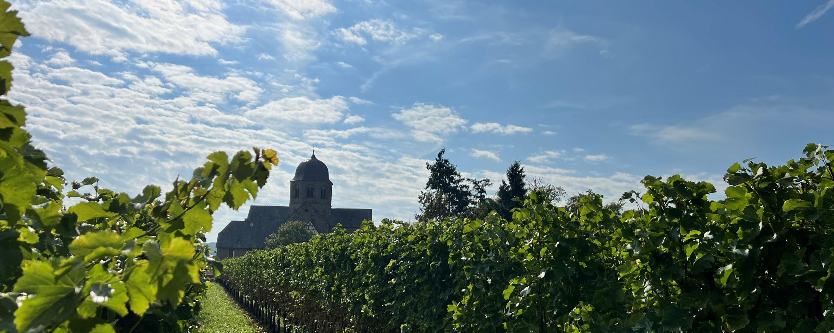 Sponheimer Kirche im Rebenmeer (c) Dim Hou / unsplash.com Sponheimer Kirche im Rebenmeer