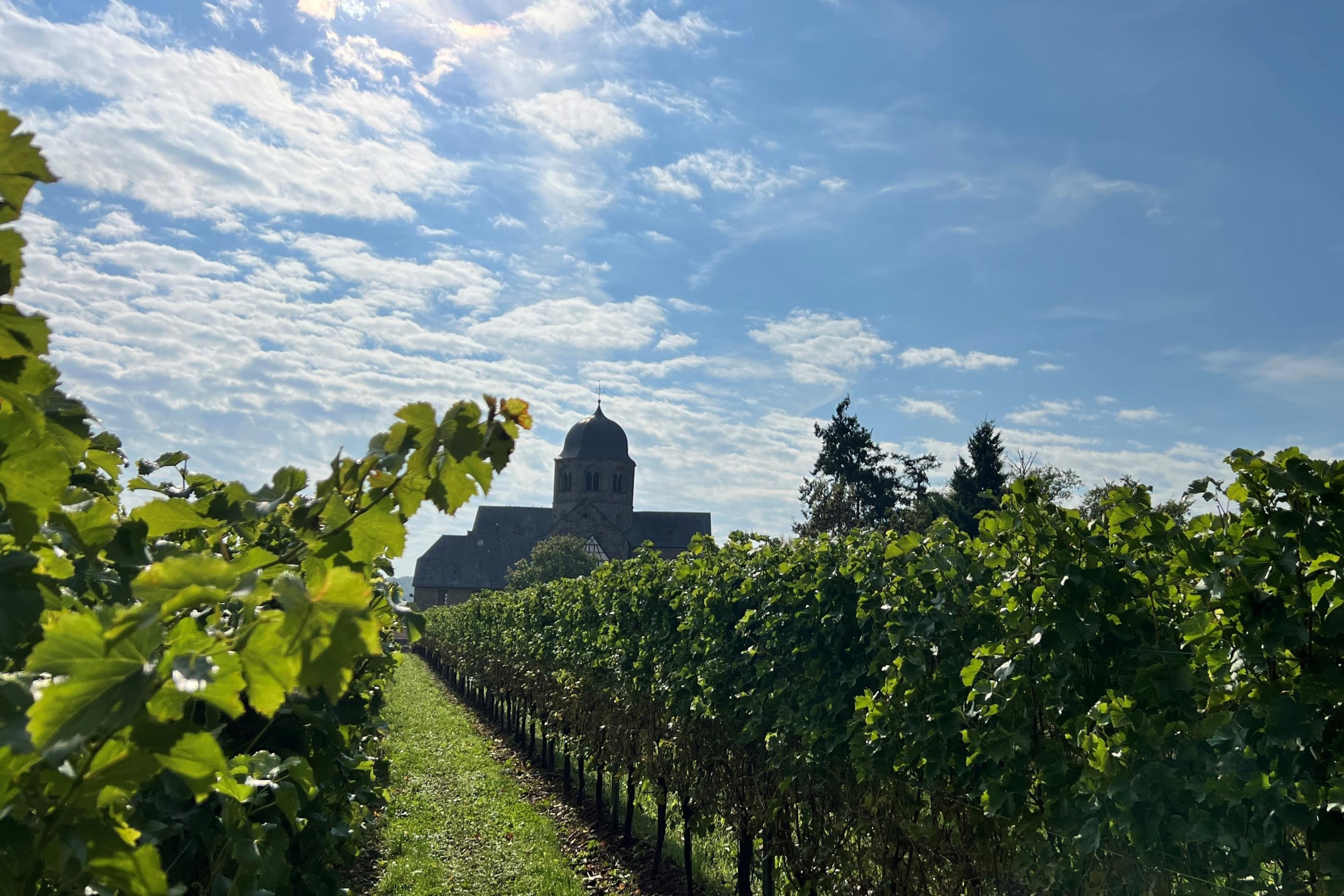 Sponheimer Kirche im Rebenmeer (c) Dim Hou / unsplash.com Sponheimer Kirche im Rebenmeer